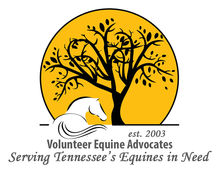 Volunteer Equine Advocates